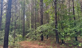 HWY 9, Banner, MS 38913