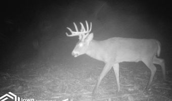 560 Th Ave, Albia, IA 52531