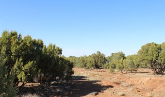 113 County Road 8092 Cedar, Concho, AZ 85924