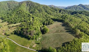 1619 Squirrel Creek Rd, Ararat, VA 24053
