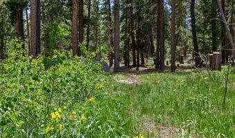 246 Tahosa Park S Rd, Allenspark, CO 80510