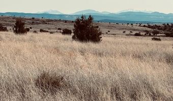 90 B Volcano Trl, Ash Fork, AZ 86320