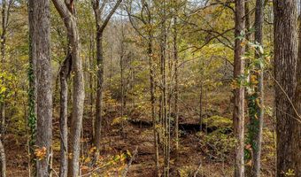 359 Allen Sells Ln, Alpine, TN 38543