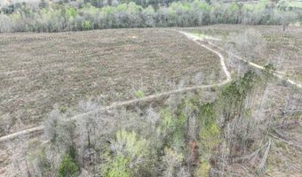 919 County Road 6628, Banks, AL 36005