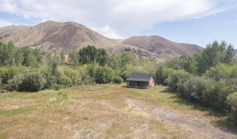 9885 Challis Creek Rd, Challis, ID 83226