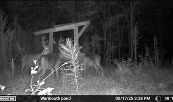 644 Ash-harrel Loop, Abbeville, GA 31001