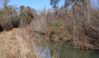 Highway 3, Blackville, SC 29817