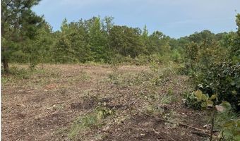 12700 PLANT Rd, Alpine, AL 35014