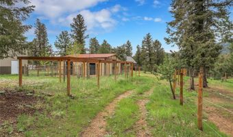 64 Elk Horn Ct, Bailey, CO 80421