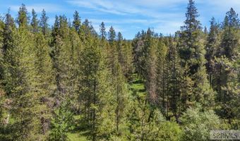 4585 E 1400 N, Ashton, ID 83420