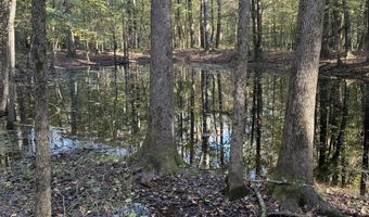 1 8 Miles Due South Down Anding Oil City Rd, Bentonia, MS 39040