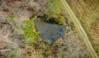 1520 Brittontown Rd, Afton, TN 37616