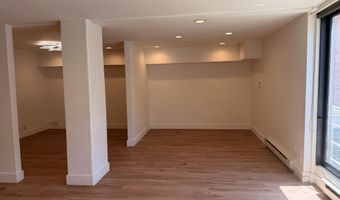 601 E Hopkins Ave 202, Aspen, CO 81611