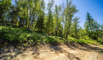 1140 Salee Creek Rd, Bayview, ID 83803