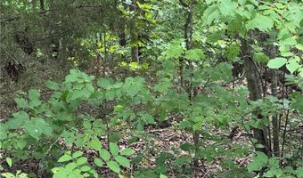Plymouth DR, Bella Vista, AR 72715