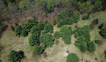 667 Cemetery St, Brookfield, VT 05036