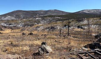 28 Agate Ct, Bellvue, CO 80512