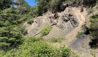 Agness-Illahe Rd, Agness, OR 97406