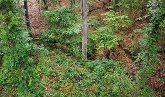 10 Cross St, Abbeville, SC 29620