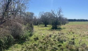 FM 44, Annona, TX 75550
