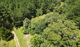 409439 E 1913 Rd, Antlers, OK 74523