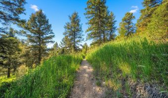 Colters Run 13, Big Sky, MT 59730