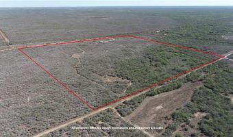 Tbd County Road 145, Alice, TX 78332