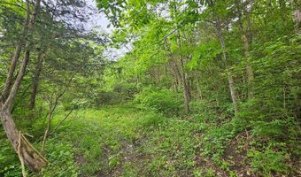 8896 Stonehouse Rd, Alexandria, KY 41001
