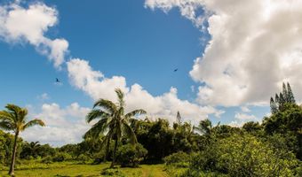 601 N Honokala Rd Lot A, Haiku, HI 96708