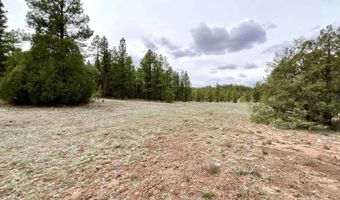 99 Big Notch Forest Trl, Bluewater, NM 87005