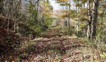 595 Rock Creek Ridge Rd, Bakersville, NC 28705