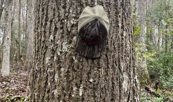 Wilburn Taylor Road, Buckatunna, MS 39322