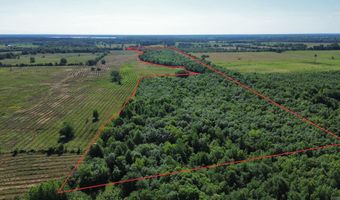 Pine Prairie Rd, Ashdown, AR 71822