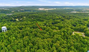 205 CHESTNUT Cir, Alabaster, AL 35007