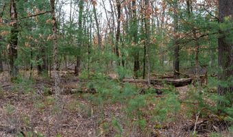 Dover Drive lot 1 14 Ac, Adams, WI 53910