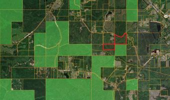 259 Forest Lake Rd, Beaumont, MS 39423