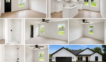 137 W Hawthorne St, Aurora, MO 65605