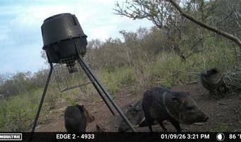 216 County Road 171, Alice, TX 78332