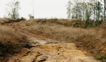 US Hwy 98, Beaumont, MS 39423