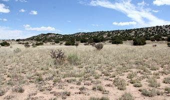 10 75 Acres Pinon Rd, Abiquiu, NM 87510