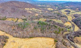 Puppy Creek, Amherst, VA 24521