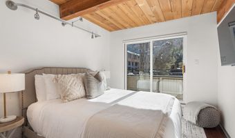 1024 E Cooper Avenue 3A, Aspen, CO 81611
