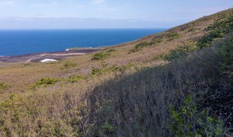 GUAVA RD, Captain Cook, HI 96704
