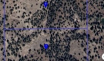 Couch Creek Road, Alturas, CA 96101