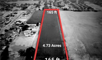Tbd E Fm 495, Alamo, TX 78516