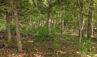 000 Maxey Rd, Arcadia, MI 49613