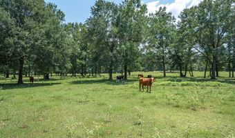 2063 RS County Road 2370 Rd, Alba, TX 75410