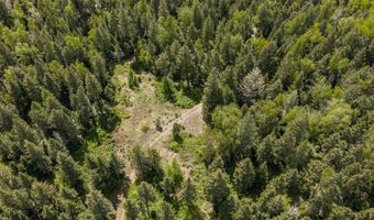 Nhn Red Hawk Drive, Bigfork, MT 59911