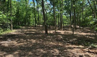 10515 Paw Paw Springs Rd, Arrington, TN 37014
