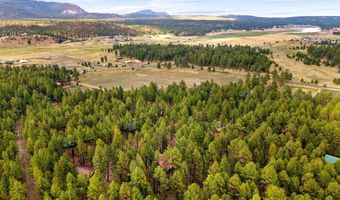 4 County Road 2089, Alpine, AZ 85920